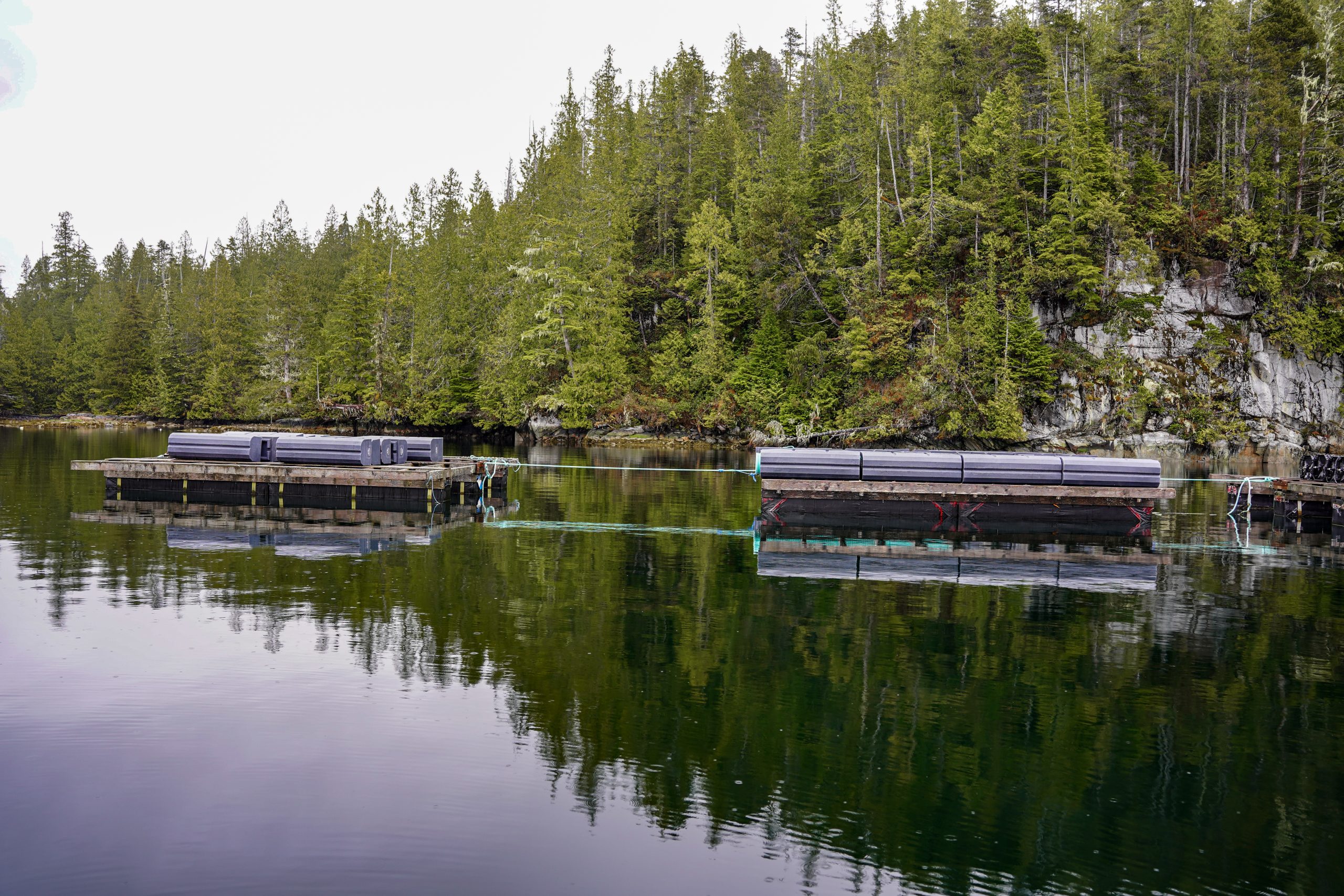 aquaculture farm in the ocean