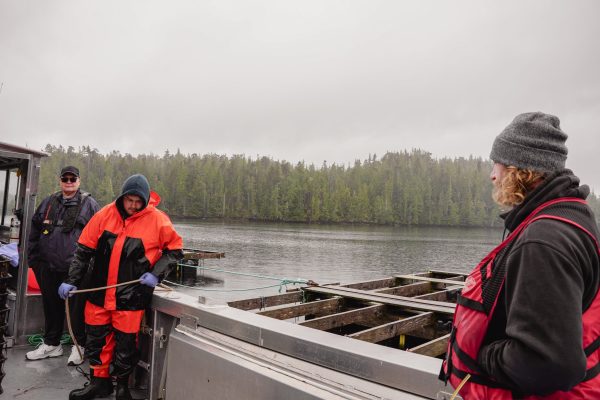 kawatsi shellfish -32